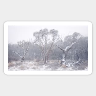 Trees In Snow Sticker